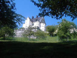 Pappelallee am Schloss Guggenberg